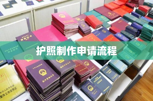 龙城护照制作申请流程